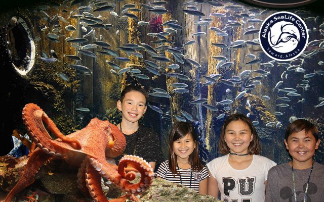 AkNativeCharter's tweet photo. Seward field trip! Great fun was had by all! #SewardAlaska https://t.co/VVvxkTTPvd