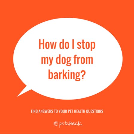 petcheckit's tweet photo. Excessive #barking can be a nuisance! Learn more about managing a barking #dog at https://t.co/9fo90dfnWu #vet #pet https://t.co/F4CV5jrBfD