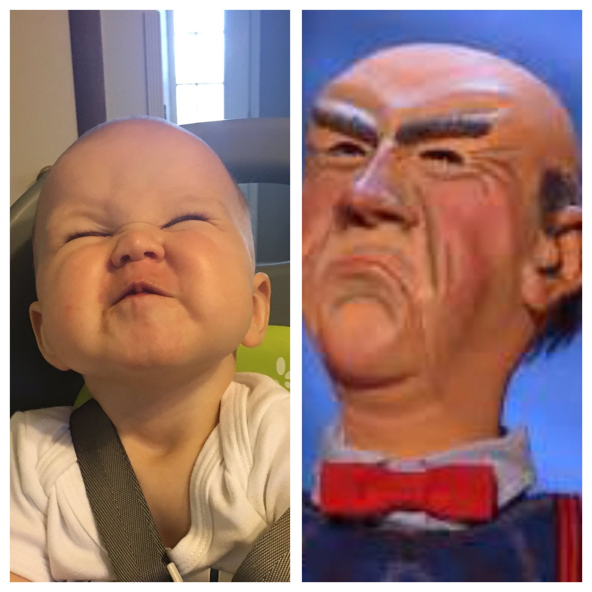 dcengel7's tweet photo. @jeffdunham @TheEllenShow How do you think Walter would react to this baby? #youngercuterwalter. https://t.co/W7opZ9fd9W https://t.co/erW5hId0UI