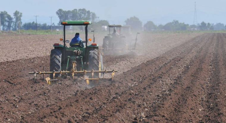 panoramaagrario's tweet photo. Buenas expectativas para cosecha de frijol https://t.co/g00juZDYoh https://t.co/ZmaVk3z26C