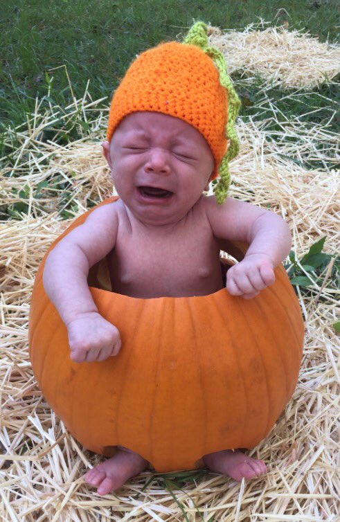 taoofjoy's tweet photo. #fallfails #grandmagoals #epicphotoshoots #fall #photography #granddesigns #beautiful https://t.co/aW7JEMHxvC