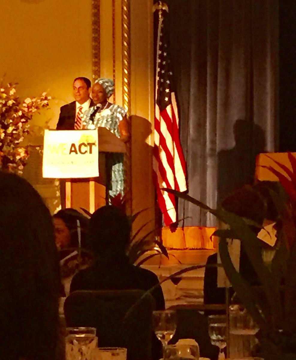 LaUnicaZeMendez's tweet photo. Environmental Justice #weactgala https://t.co/Qsh6OqAMVM