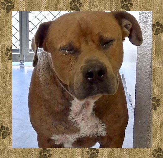 rhiannon west tweet media