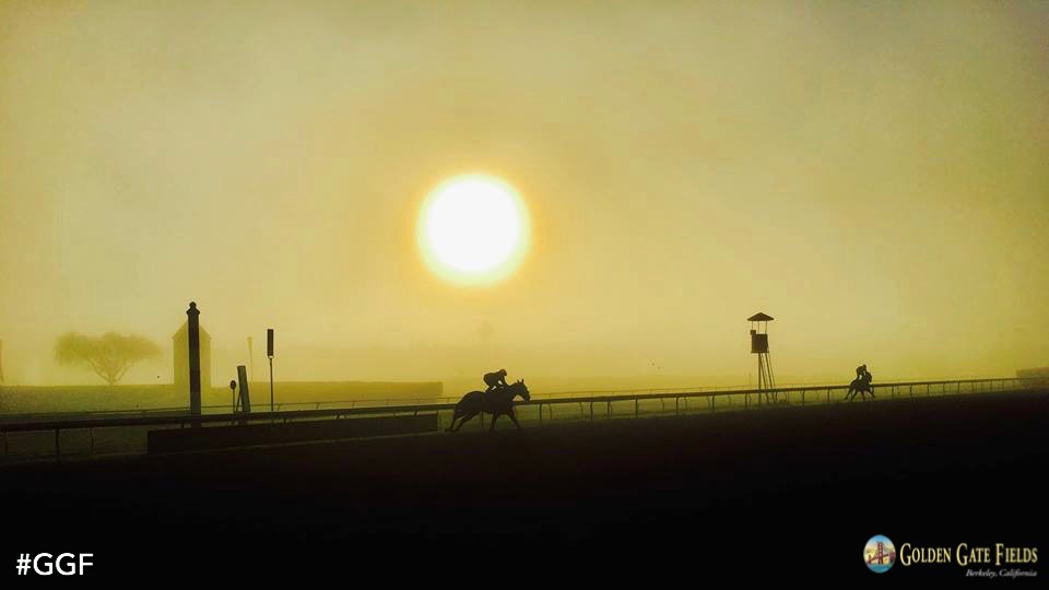 GGFracing's tweet photo. Time to shine, Bay Area. Racing is BACK at #GGF. #TheBayIsBack https://t.co/LIm34cYdV0