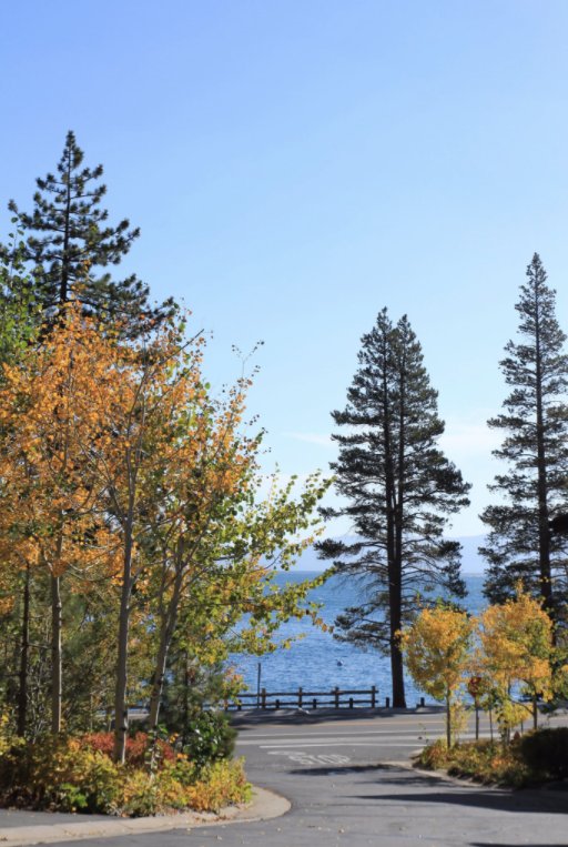 From SR 279 to the magical West shore, fall looks pretty good on Tahoe. Where is your favorite place for autumn adventures in Tahoe?