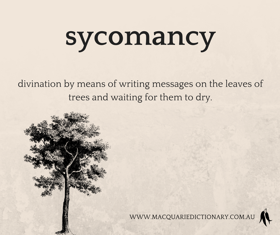 MacqDictionary's tweet image. What a beautiful way to read fortunes. #sycomancy #Halloween ow.ly/AyEe30fLbLd