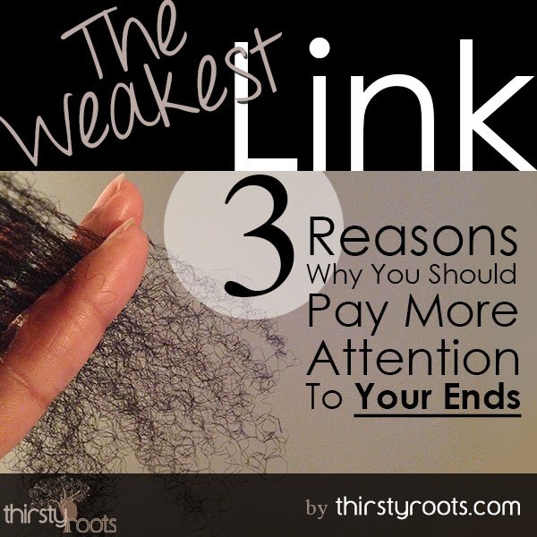 thirstyroots's tweet photo. #longhair #healthyhair #hairstyle 3 Reasons To Care for The Ends of Your Hair... #haircare https://t.co/f2dNlPwOIE https://t.co/WoBWIFG65j