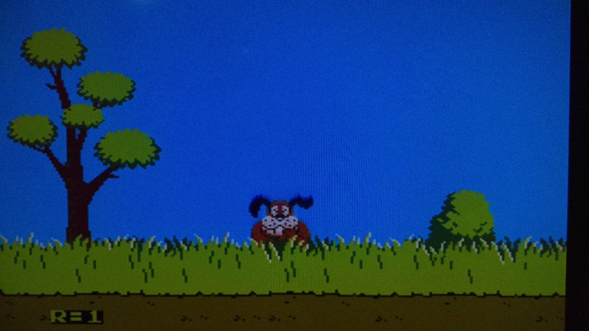 ShaggyMN1975's tweet photo. Didn't want to drag the CRT out just to play #DuckHunt so I got the #WiiZapper instead for more #NES release anniversary fun #WedNESday https://t.co/gMgB7DGrP3
