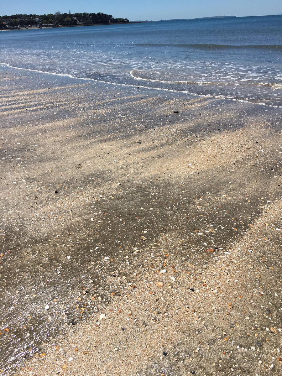jolenehellund's tweet photo. Blessed to be able to walk along the beach at lunchtime #LoveWhatYouDo #WorkLifeBalance @salesappcentre @HotMustardComms https://t.co/QBLrAuo6lP
