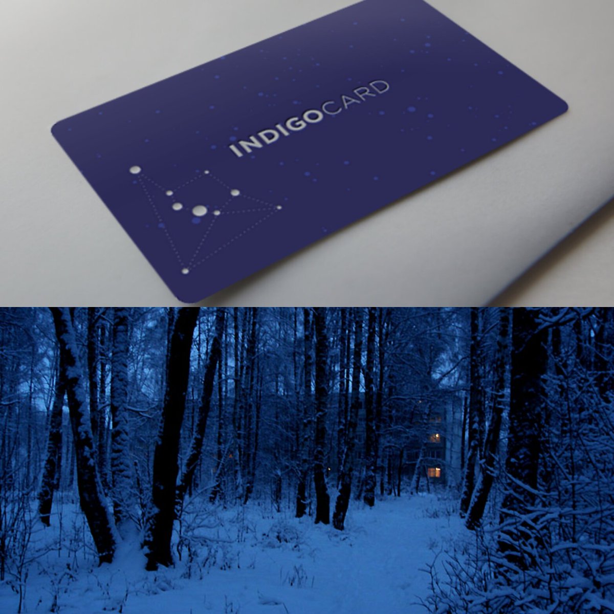 Fabriziobustama's tweet photo. #Indigo #Card #Indigocard #Yoga #Life #resilience https://t.co/9hJhQDnPed