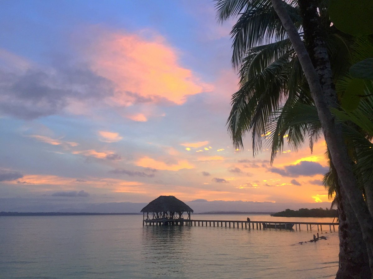 thebeachbell's tweet photo. Oh my gosh this awesome @theoceansown video was shot where I am right now #lovemylife #azulparadise #bocasdeltoro https://t.co/E3hJArZndZ