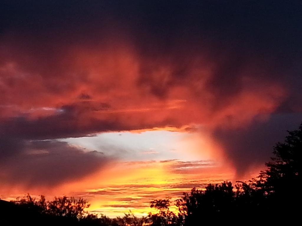 Satchwood's tweet photo. Good night to you all from Phoenix Arizona! https://t.co/ku7jFaaq2z