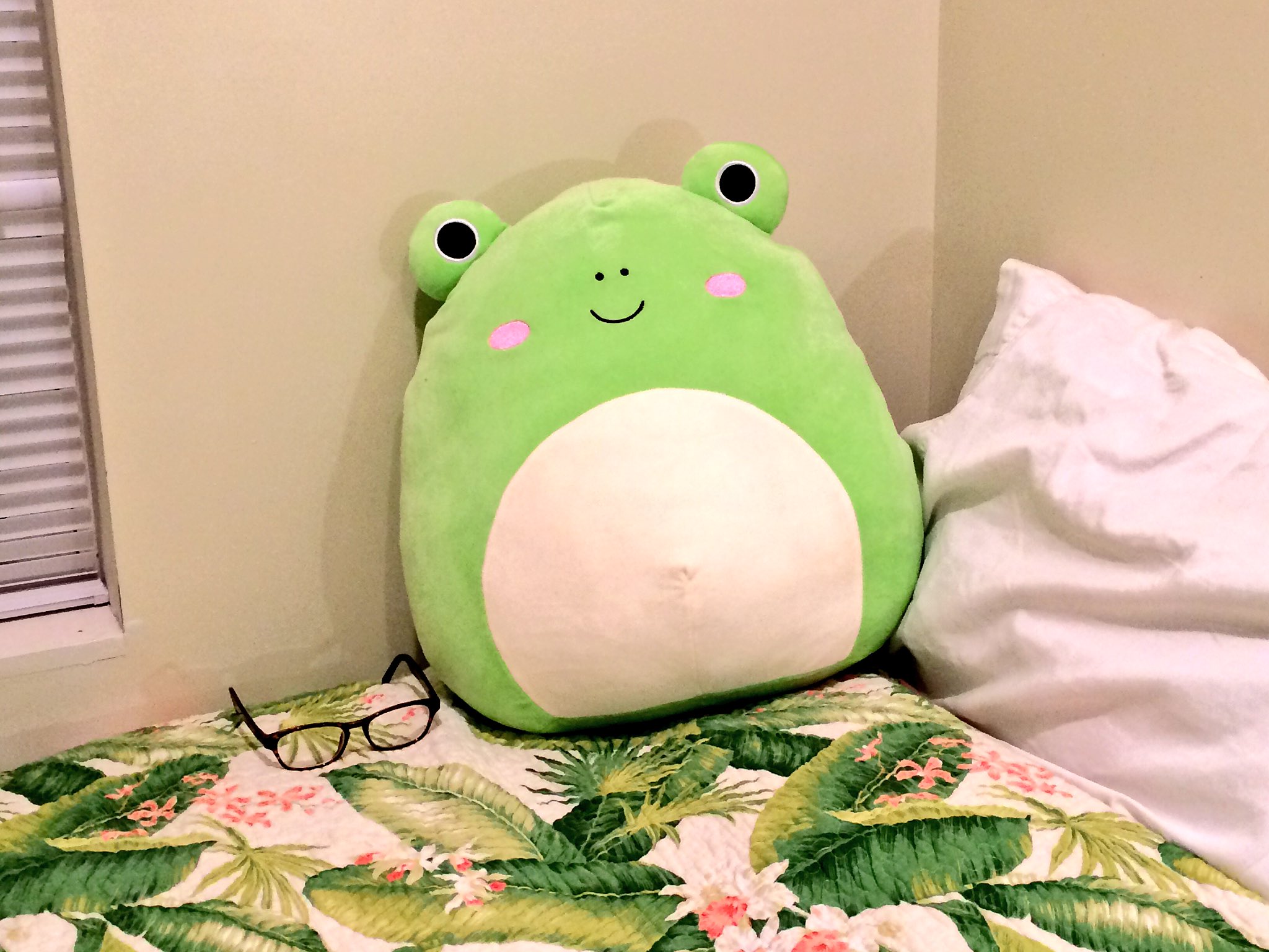 frog thoughts on X: I got a BIG good frog who is VERY soft and squishy   / X