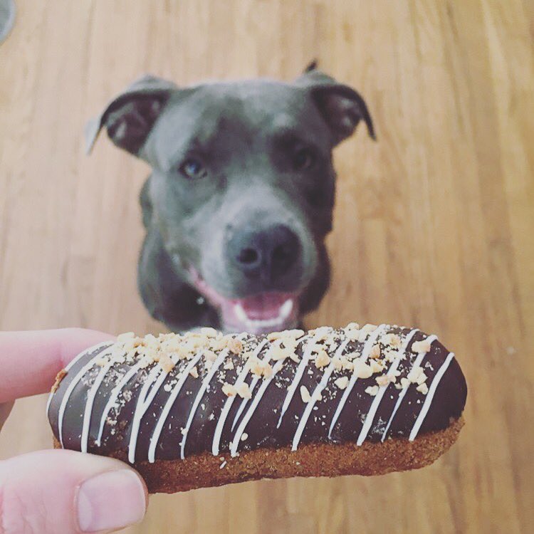 Jimmie is (pea)NUTS about our Mutter Butter Bar! 🐶💕🥜
IG: @jimmiethepit