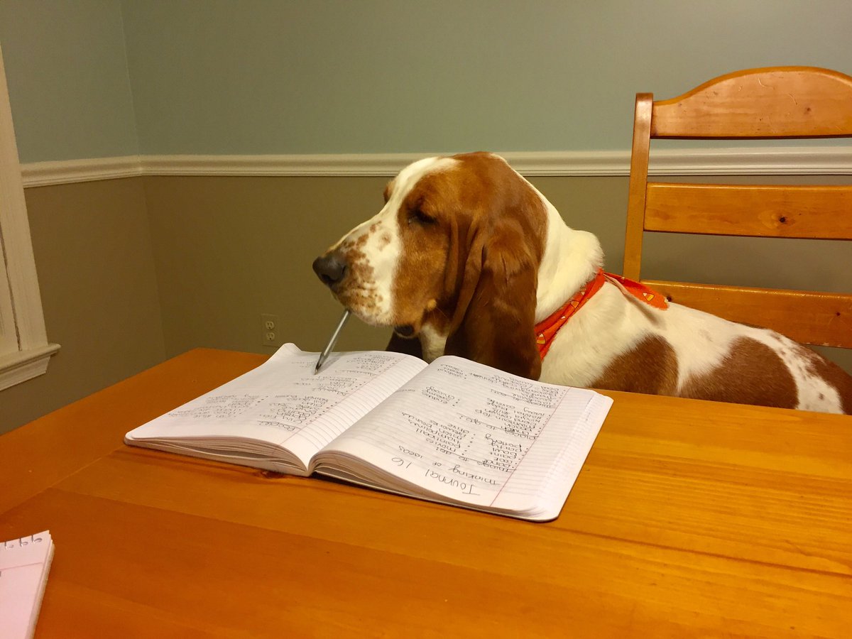 morganholmes17's tweet photo. Wishing everyone good luck on midterms! Study hard 📔📓 https://t.co/lrjuKmYjiL