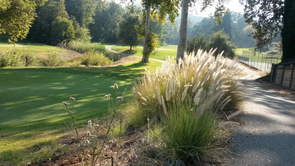 LynAthletics's tweet photo. New Story: Lynbrook High School Girls Varsity Golf beat Los Gatos High School 183-196 https://t.co/cO8zMgvwRw https://t.co/Pn5E5LOCKz