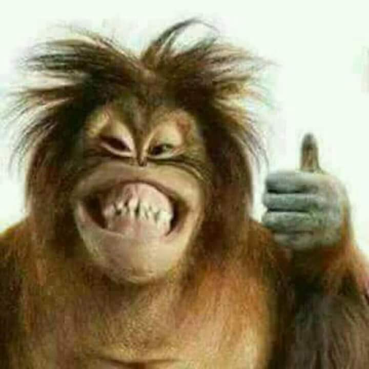 francisco mazurett (@mazurett) on Twitter photo 