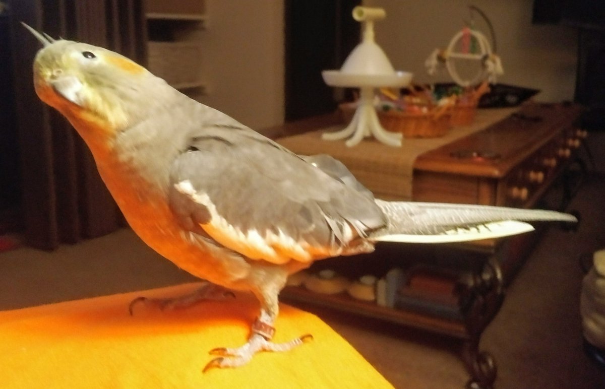 AWildStarly's tweet photo. Who are you looking at? https://t.co/gOsDj6dve9