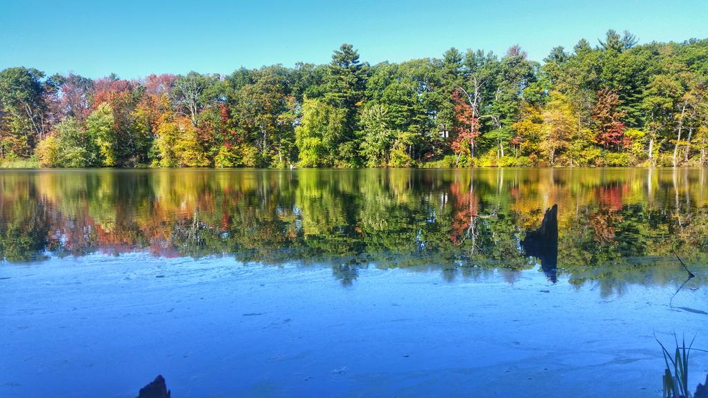 sha_mca's tweet photo. Feeling fall-ish in So. #NH #MineFallsPark #LullFarm #foliage @ThePhotoHour @StormHour @VisitNH @TimNBCBoston @RyanBretonWX @WMUR9_Weather https://t.co/QNR0LMoj9v