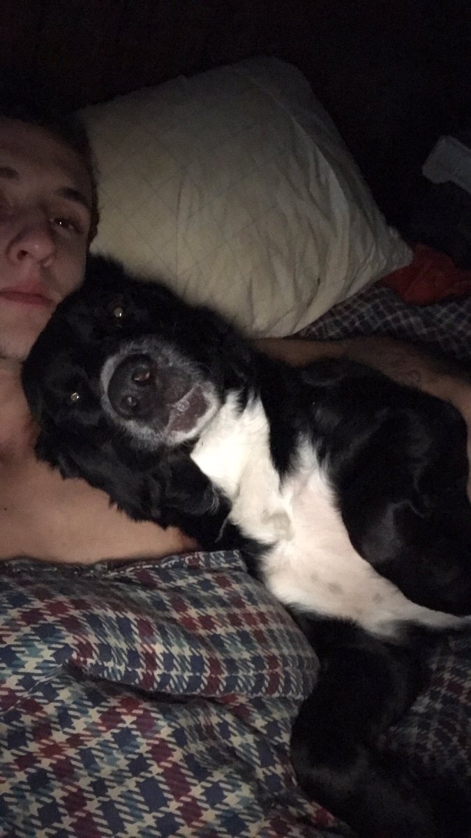 brettogle's tweet photo. Chloe is feeling a little better. Goodnight 🤗 https://t.co/nz877cxmtE