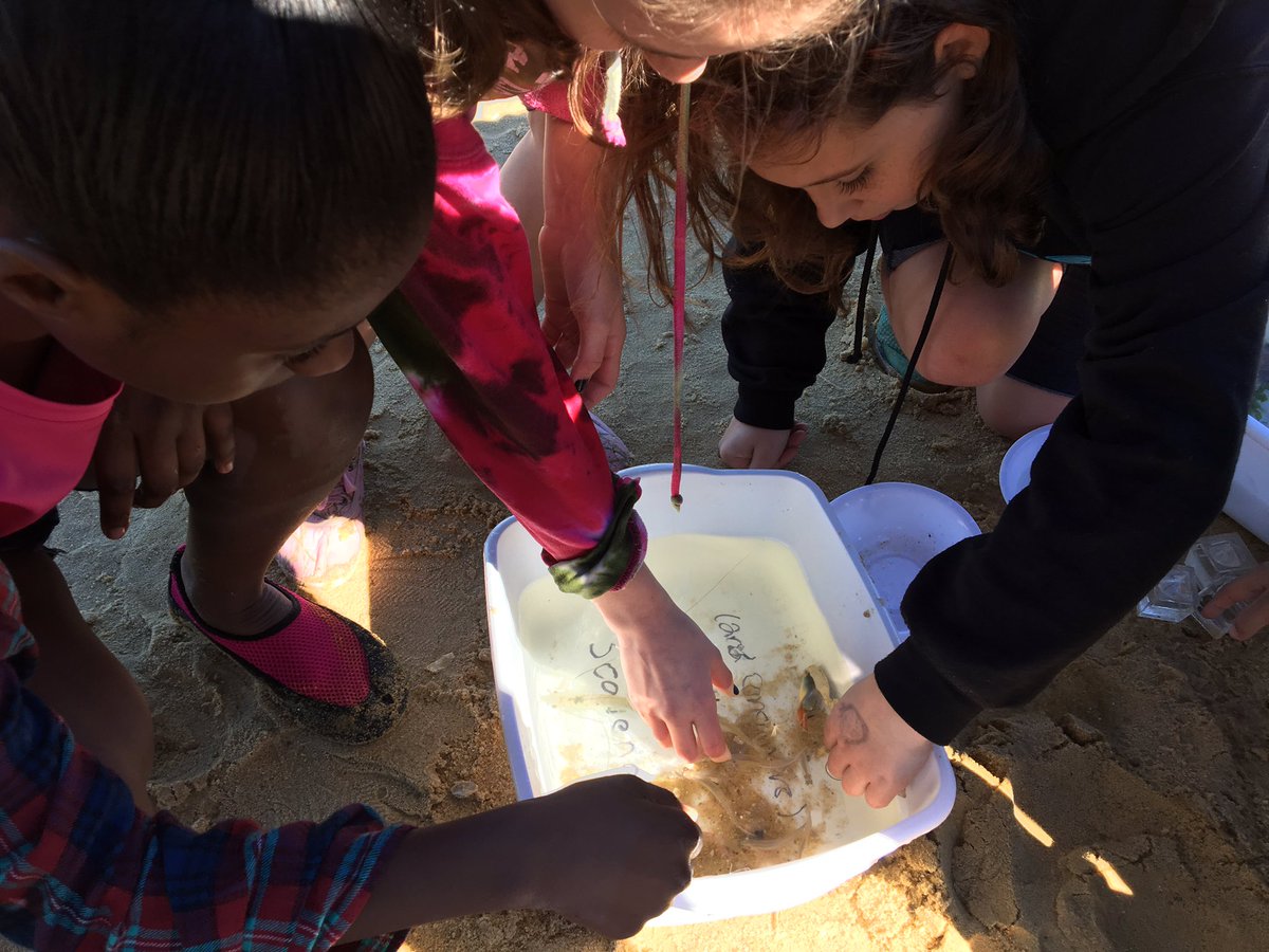 vafozzils's tweet photo. Amazing day at the Bay with GTMS 6th grade! #iwcsSTEM @IWCSchools https://t.co/obwYAJmFQX