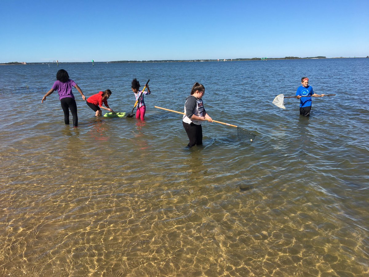 vafozzils's tweet photo. Amazing day at the Bay with GTMS 6th grade! #iwcsSTEM @IWCSchools https://t.co/obwYAJmFQX