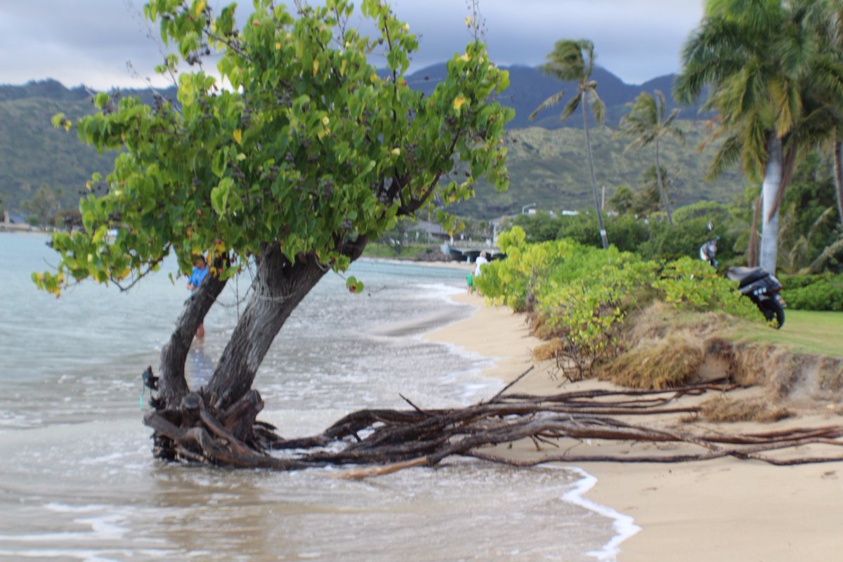Mahalo Chip Fletcher for your Community Voice &amp; piece: We Need To Pay Attention To The New Hawaii Climate Commission bit.ly/2yytLAt