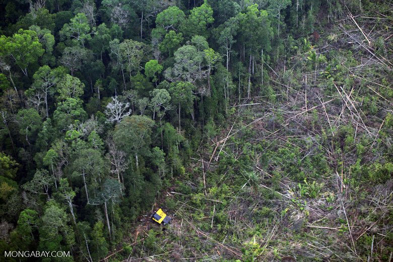 mongabay's tweet photo. Unless Indonesia takes more drastic measures, it will miss the emission reduction target it has set for itself: https://t.co/s122at0L7N https://t.co/oH4sW2BejV