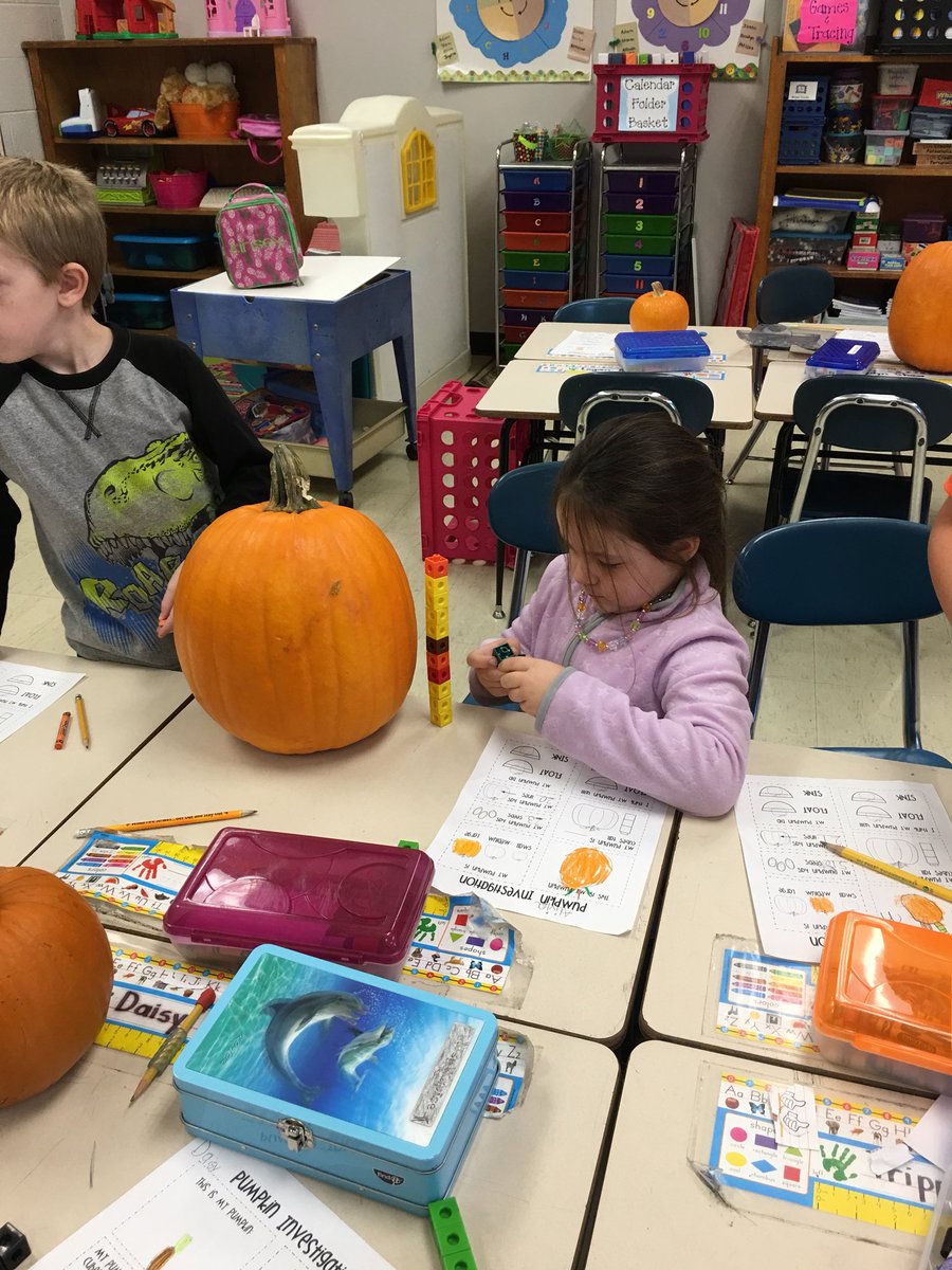 loriwarren74's tweet photo. My kindergarteners investigating and measuring pumpkins! https://t.co/jZtQ0GXuQB