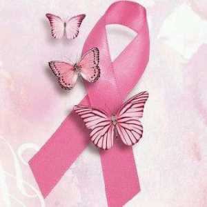 EpmUcm's tweet photo. Hoy, en el #DiaMundialdelCancerdeMama queremos mandar todo nuestro apoyo a todas esas heroínas que luchan día a día https://t.co/UEITBitX5b