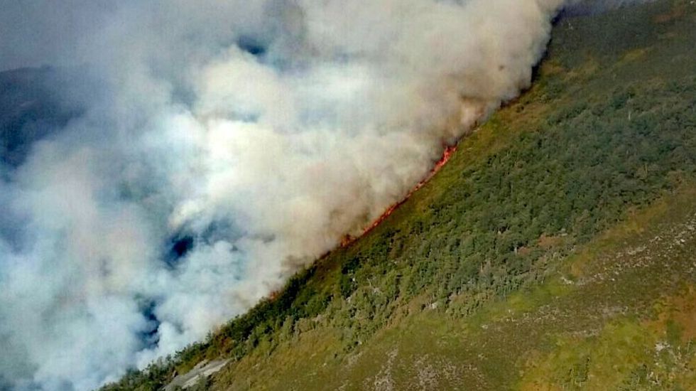 ASTURIAS, TRAS LAS LLAMAS |  Recogida de semillas para repoblar los montes asturianos a.lavoz.es/mbbjd