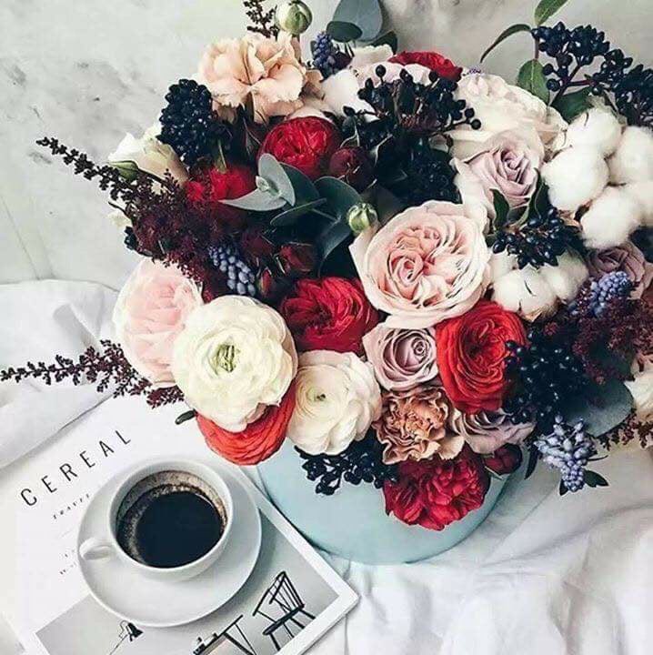 _OM93's tweet photo. هنيئاً لمن يبدأ يومه بهذه العبارة :
يا مالك ��لملك وكلتك أمري،،
واستودعتك همي ،، فبشرني بما يفتح 
مداخل السعادة إلى قلبي
صباح الخير https://t.co/QSb4IsW7IS