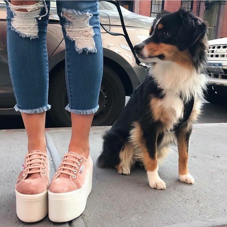 superga super platform