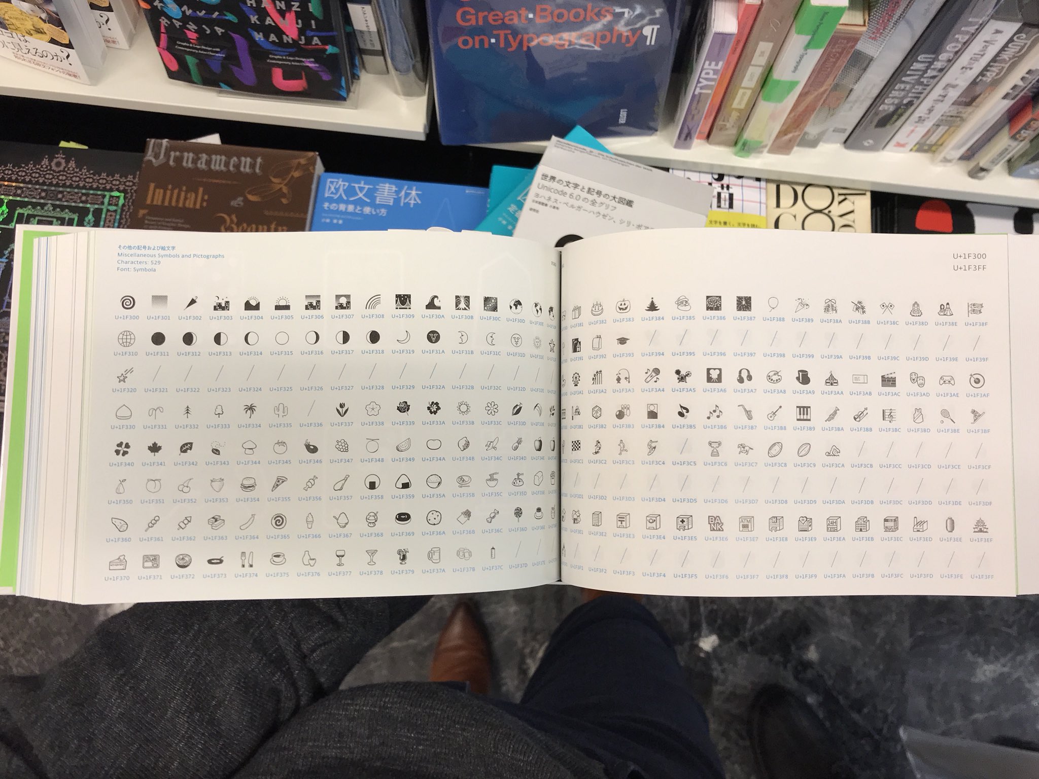 世界の文字と記号の大図鑑 : Unicode 6.0の全グリフ