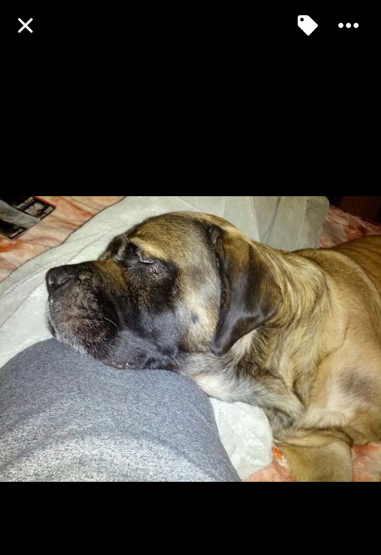 Jasøn👁 tweet media