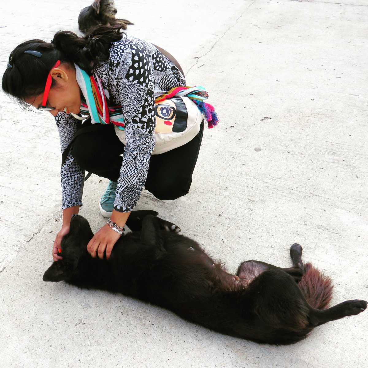 itzztania's tweet photo. #furlove https://t.co/yBKExP2lL2