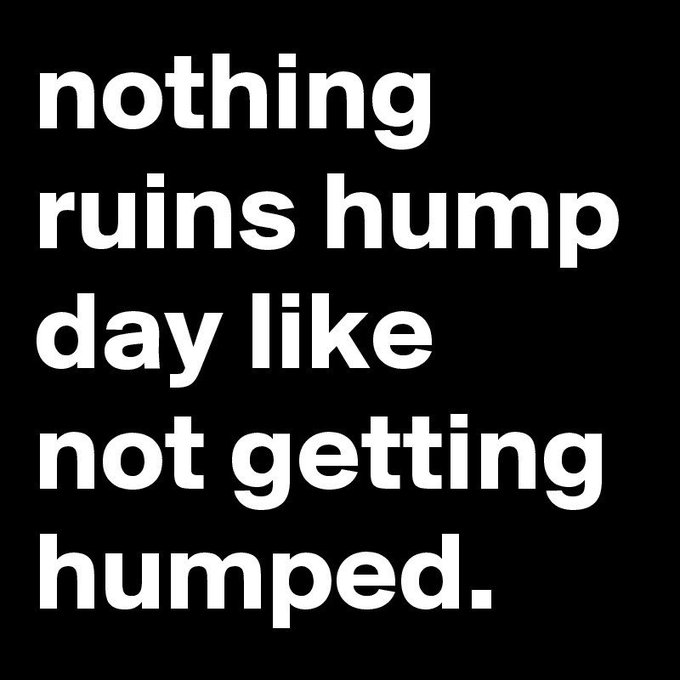 #HappyHumpDay everyone! https://t.co/RdjmWaexcD<a href="/tag/happyhumpday"class="tags">#HappyHumpDay</a>