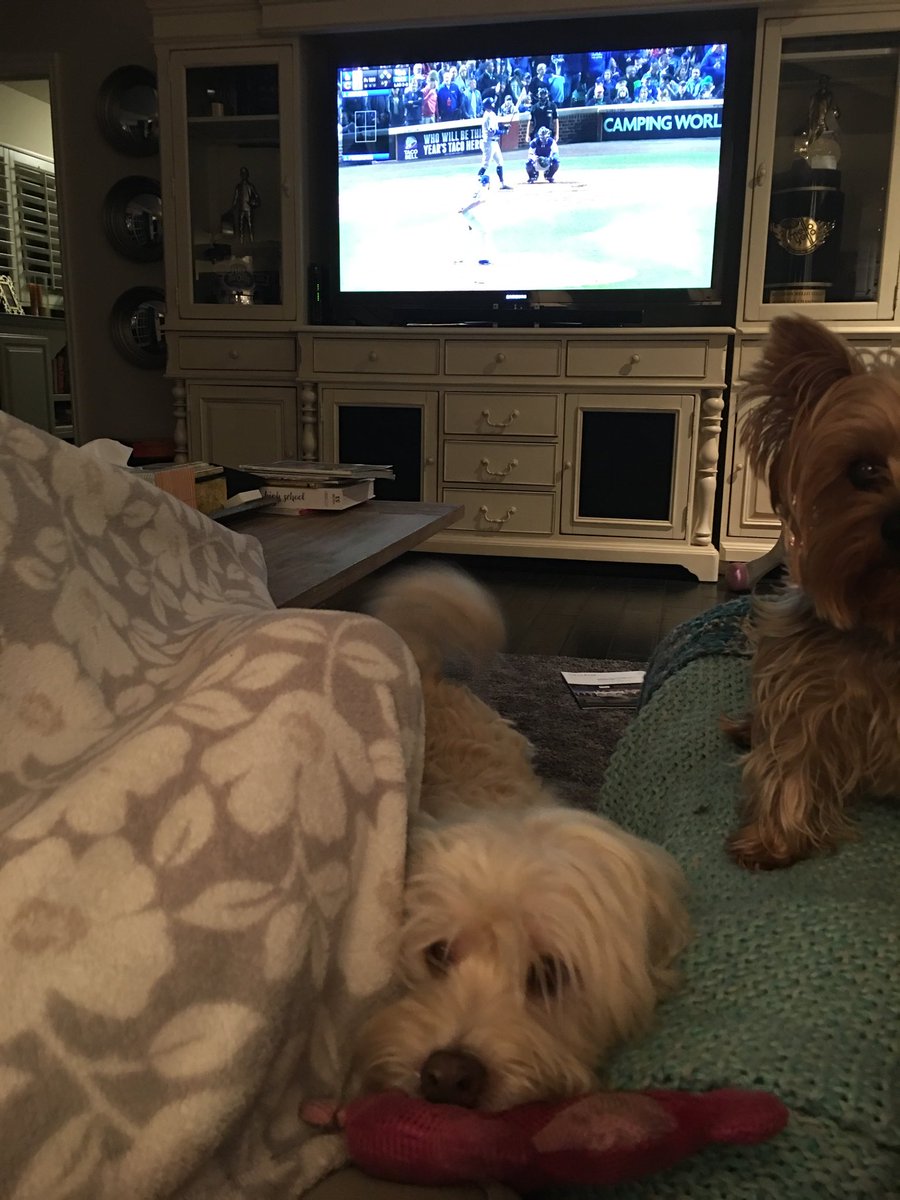 connieworsham's tweet photo. When you just want to watch the @Dodgers with @delworsham and the dogs just won’t let you https://t.co/jYofrop0ZD
