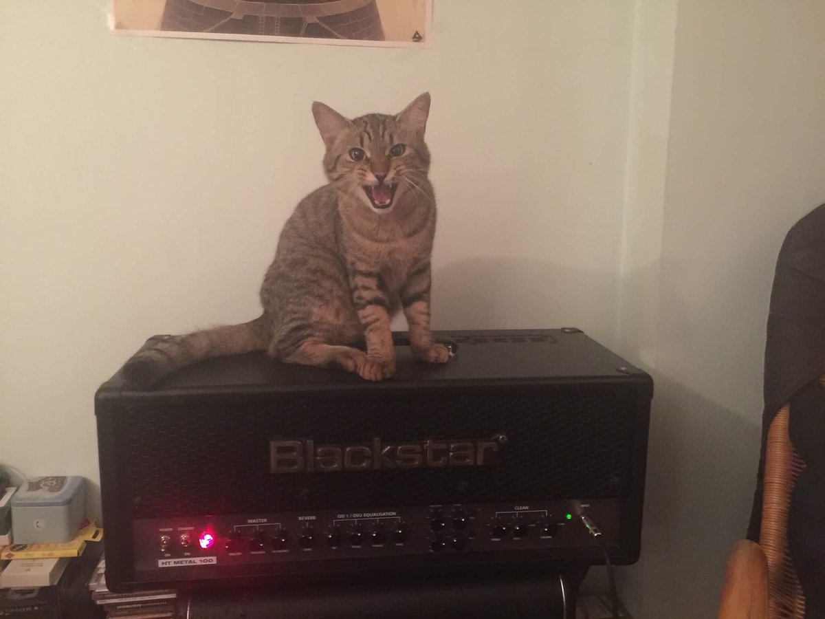 timoAndrei616's tweet photo. @catsonamps @Blackstaramps #htmetal100 #ihavenocluehowtousetwitter https://t.co/4upGsk1WD6