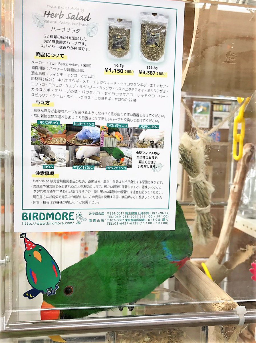 飼鳥専門店バードモア 南青山店 Pa Twitter バードモア南青山店 こんにちは ゴーヤンです 寒い日々が続いていますね 品切れが続いておりましたハーブサラダ 2サイズ共に再入荷 楽天 T Co Mhvz3ifxbt Yahoo T Co U5ojebv4om 今日のゴーヤン