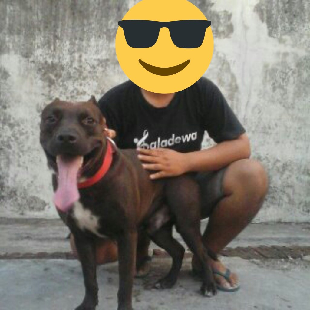 bhibiet_03's tweet photo. I'am UnderDog's 😎😎✊ #FightDog https://t.co/IwmE5ziZQD