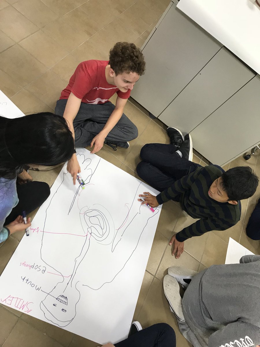 ochanedu's tweet photo. Let’s review! #handsonlearning #digestion #myp #inquiry #knightsrok https://t.co/r12UAqF4Uk