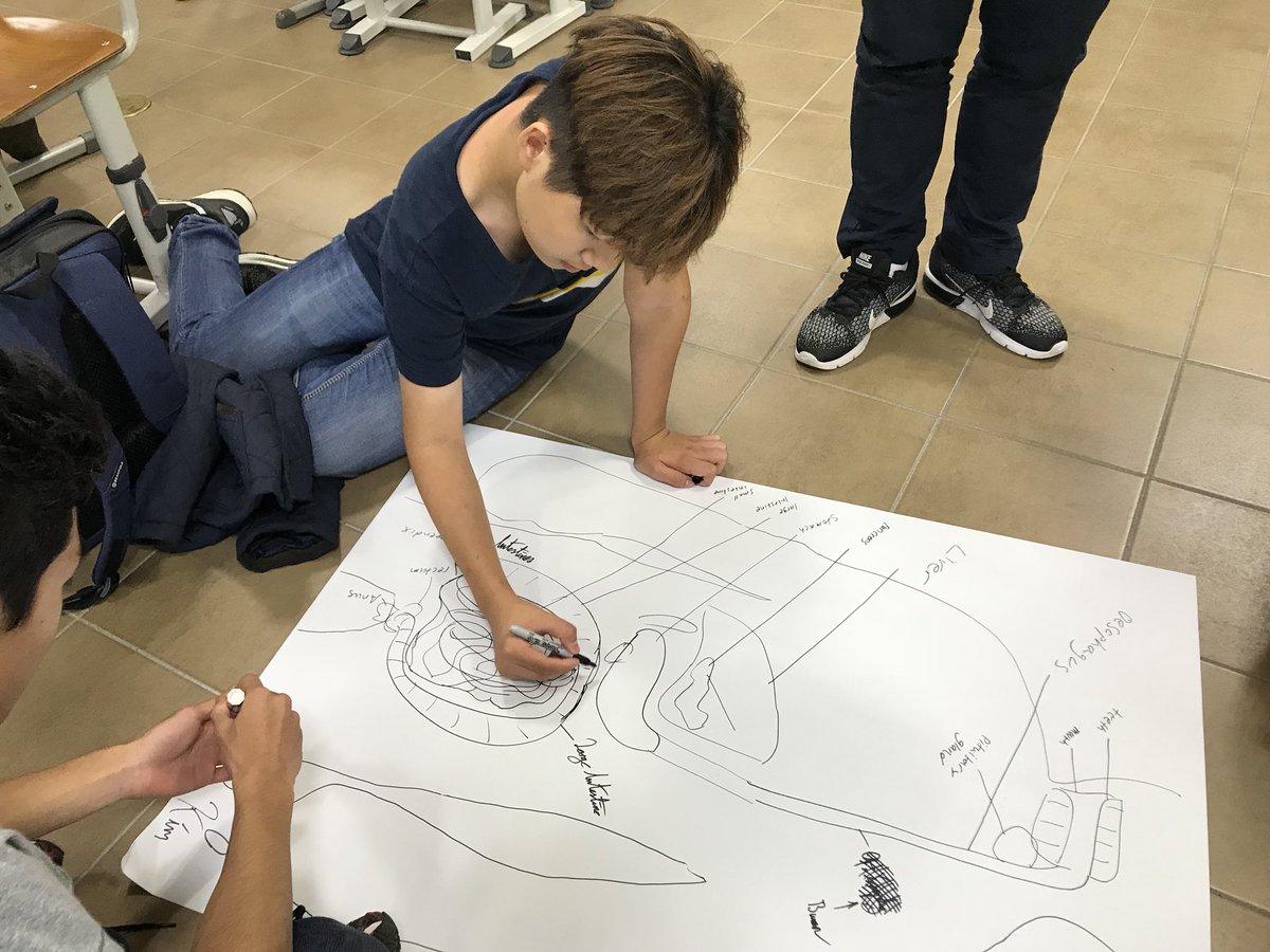 ochanedu's tweet photo. Let’s review! #handsonlearning #digestion #myp #inquiry #knightsrok https://t.co/r12UAqF4Uk