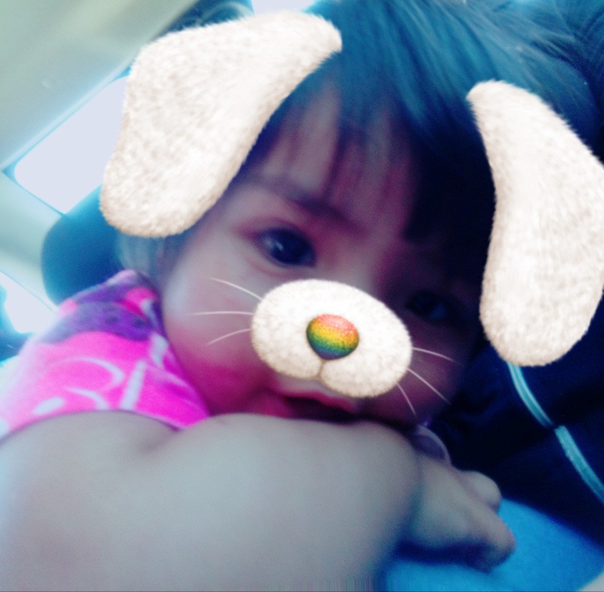 KaruuZarate's tweet photo. Te amo mi pequeña chuky 😍 💘 https://t.co/OoJqqmShjv