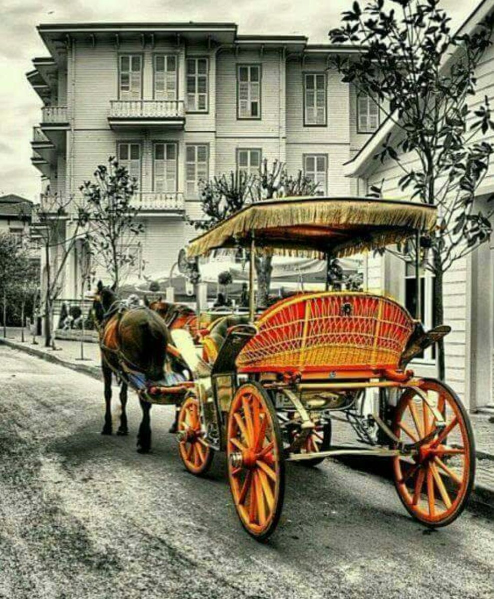 Umudunuzun yükseldiği neşeyle keyifle geçecek bir gün olsun...
GÜNAYDIN_______