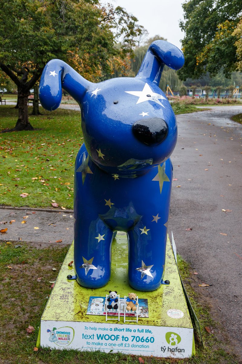 Stunning Starry Night by Heather Penten and Benjamin Fowler <a href="/Penten_Designs/">Heather Penten</a> #SnowdogsWales