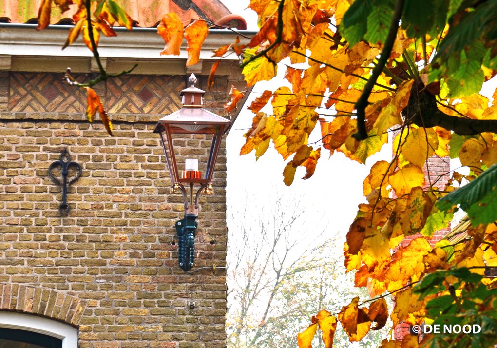 DENOODBV's tweet photo. Herfst in #Dreischor #DENOOD #straatverlichting @gemeentesd https://t.co/QiHWyp90Nb https://t.co/cuoPUPcAKq