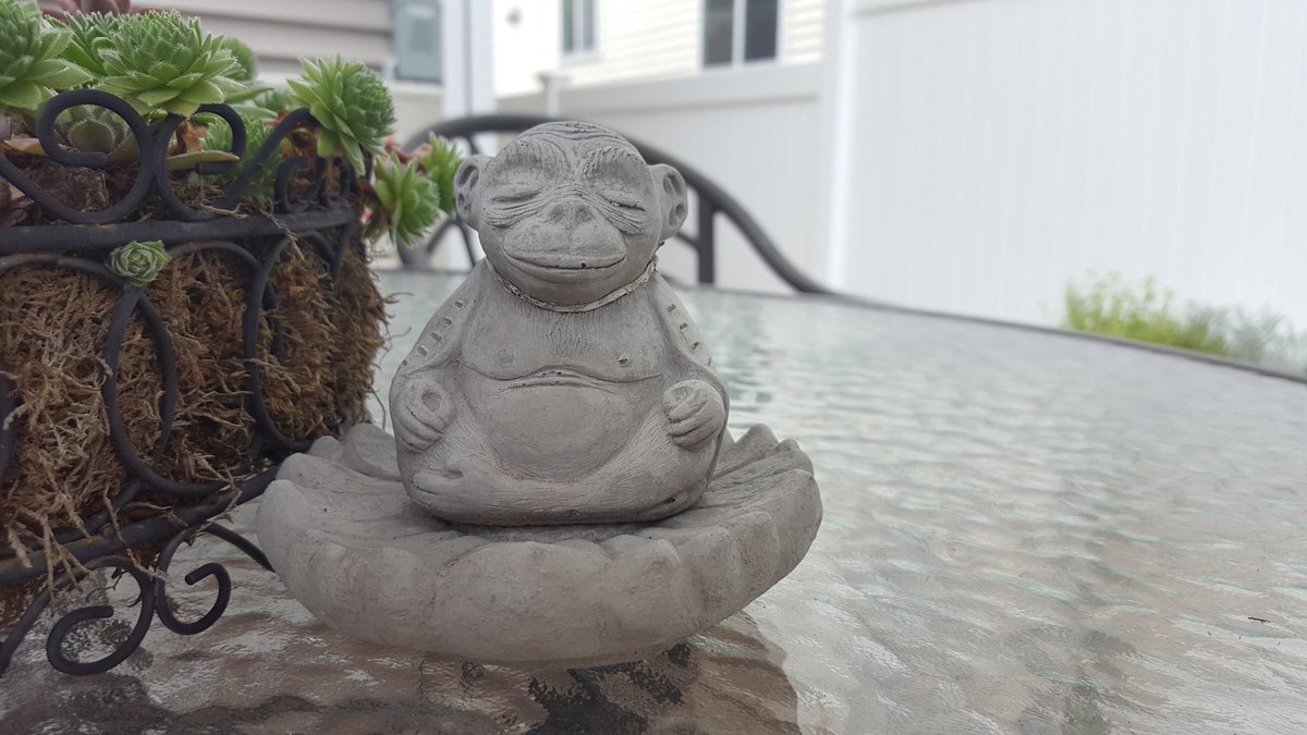 Nothing like some #Peace #Happiness #meditation #rest #relaxation