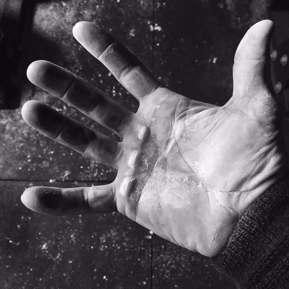 justinwglancy's tweet photo. I think DU'IT needs to team up with @jockowillink for a sponsorship of their product. America and Australia together again. #musterdownunder https://t.co/e3q7X9D7lP