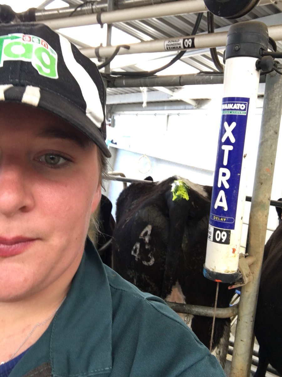 luttethys's tweet photo. It’s that time of year !! #tailpainting #Agchatnz #431am https://t.co/gNlG9lnx3y
